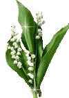 1er MAI = MUGUET